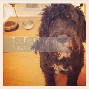 The First Rule of Petsitting